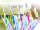 韓國(guó)廚房生活用品 熱門產(chǎn)品、價(jià)格參考與選購(gòu)指南